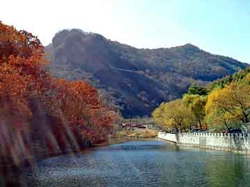 新澳天天开奖资料大全旅游团，思域论坛